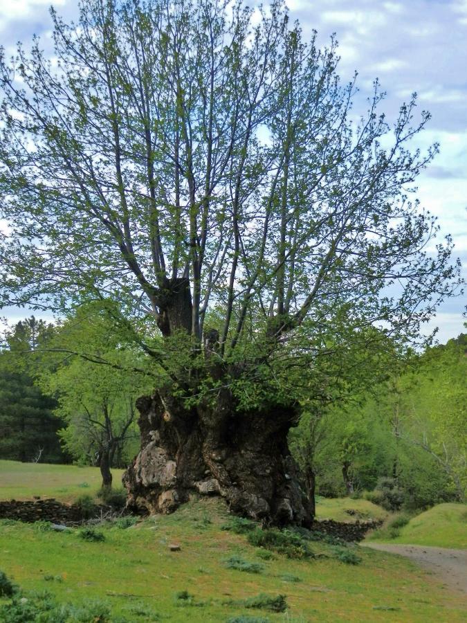 Labella - Hostal Rural Restaurante La Calahorra Zewnętrze zdjęcie